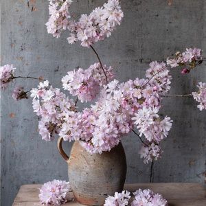 🌸 Thank you! 🌸